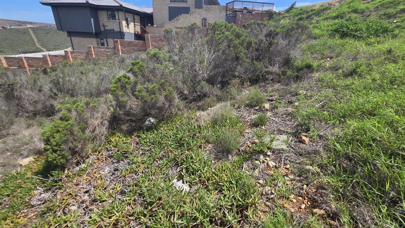 0 Bedroom Property for Sale in Seemeeu Park Western Cape